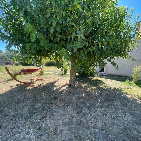 Sous Les Etoiles En Provence, Les Bambous Et Les Grands Chenes * Lurs