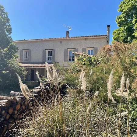 Sous Les Etoiles En Provence, Les Bambous Et Les Grands Chenes Lurs