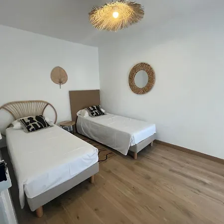 Sous Les Etoiles En Provence, Les Bambous Et Les Grands Chenes