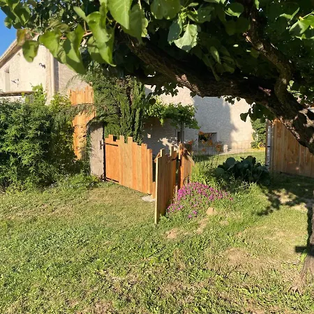 Sous Les Etoiles En Provence, Les Bambous Et Les Grands Chenes *