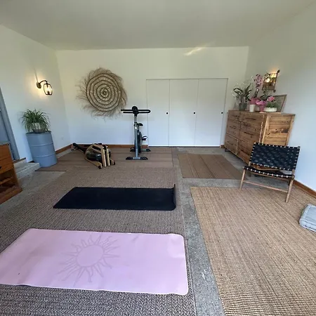 Sous Les Etoiles En Provence, Les Bambous Et Les Grands Chenes