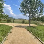 Sous Les étoiles En Provence, Les Bambous Et Les Grands Chênes * Lurs