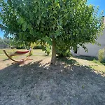 Sous Les étoiles En Provence, Les Bambous Et Les Grands Chênes * Lurs