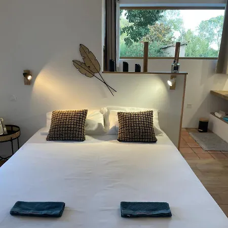 Sous Les Etoiles En Provence, Les Bambous Et Les Grands Chenes