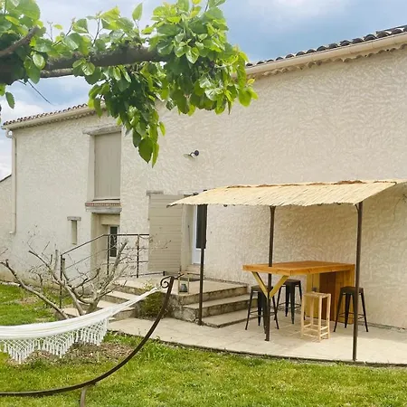 Sous Les Etoiles En Provence, Les Bambous Et Les Grands Chenes
