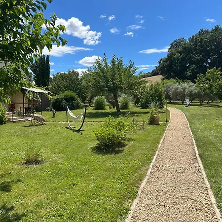 Sous Les étoiles En Provence, Les Bambous Et Les Grands Chênes *
